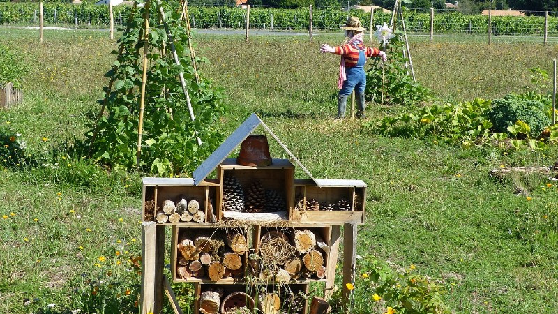 You are currently viewing What is Permaculture?